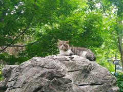 -静安公园(静安寺街道)