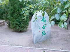 -龙沙公园