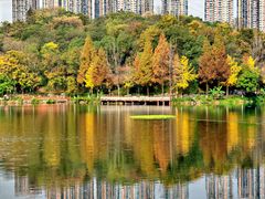 -重庆彩云湖湿地公园