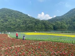 -广州市石门国家森林公园