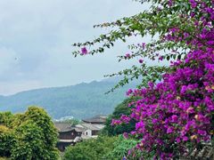 -和顺古镇