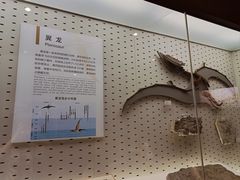 -浙江自然博物院(杭州馆)