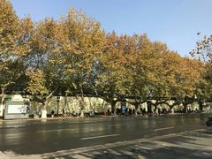-长江路历史文化街区