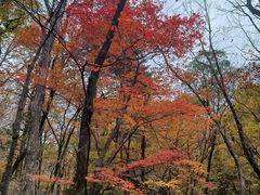 -丹东天桥沟景区