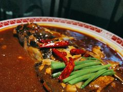 -旺顺阁鱼头泡饼(常营店)