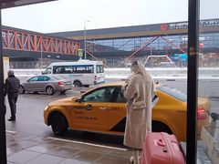 -谢列梅捷沃国际机场