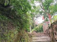 -南窖乡水峪村山情农家