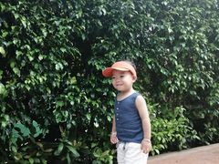 -美的鹭湖探索王国