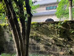 -灵谷景区