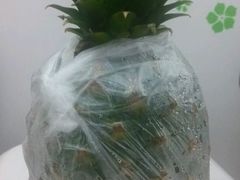 android_upload_pic-志龙皇冠吃货椰子铺