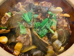 -金龙·打边炉(南京西路店)