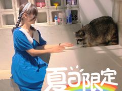 -浣熊柯尔鸭土拨鼠·电玩咖