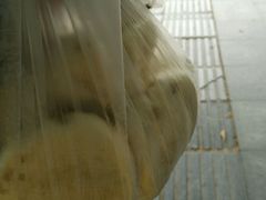 -袁大头包子(光华路店)