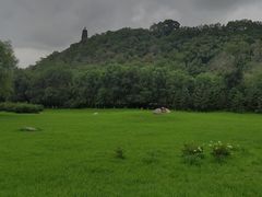 -高尔山公园