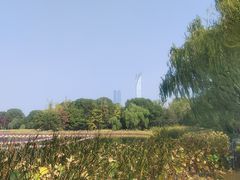 -金鸡湖桃花岛