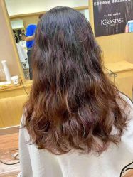 -THE LOG SALON 记录