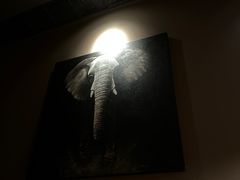 -菩泰·泰式草本按摩SPA(武汉新天地南馆店)