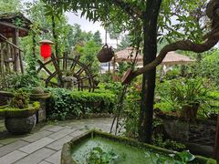 -青城甲(青城山店)