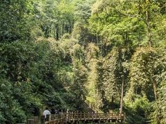 -凤栖山