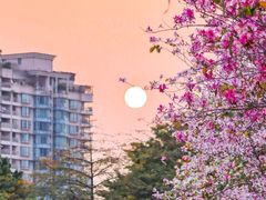 -文华公园(禅城区)