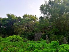 -深圳国际园林花卉博览园