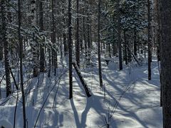 -峡谷浮石林景区