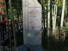 -祁门牯牛降观音堂风景区