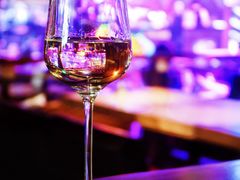 干白-Famous肥猫墨西哥音乐餐吧(五棵松华熙LIVE店)