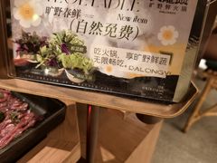 -大龙燚·旷野鲜火锅(广州首店)