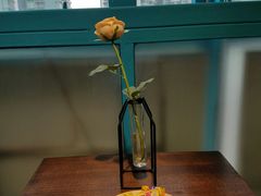 -Trend1881视光·蔡司视觉(领展广场店)