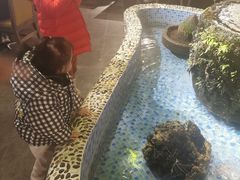 -老号尤兔头(幸福店)