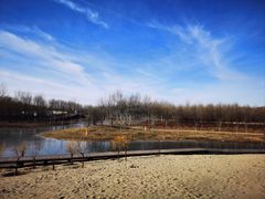 -东郊湿地公园