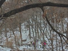 -崂山九水游览区