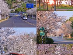 -幕燕滨江·长江观音景区