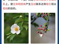 -CGWANG王氏教育(上海校区)