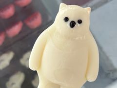 -上海海昌海洋公园