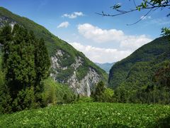 -鹿院坪生态旅游景区