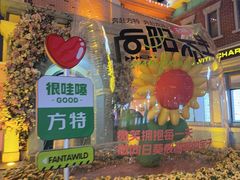 -沈阳方特欢乐世界