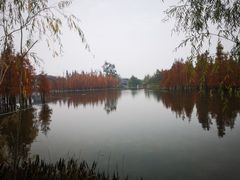 -白鹭湾湿地公园