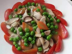 -佳禾月嫂育儿嫂(拱墅店)