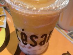 -乐凯撒披萨(蛇口花园城店)