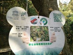 -井冈山风景名胜区
