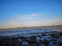 -吴淞炮台湾湿地森林公园烧烤区