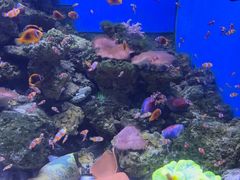 -多彩贵州城极地海洋世界