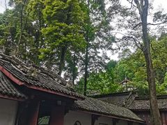-凤栖山