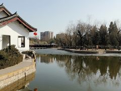 -团结湖公园
