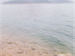 -望湖烤鱼