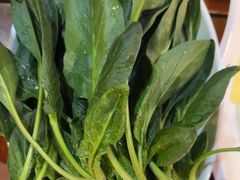 -洪焱重庆老火锅(万福花园店)