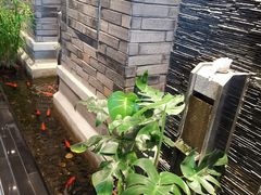 -川旺角川粤融合菜•海景餐厅(星海广场店)