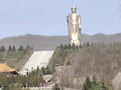 -中原大佛景区